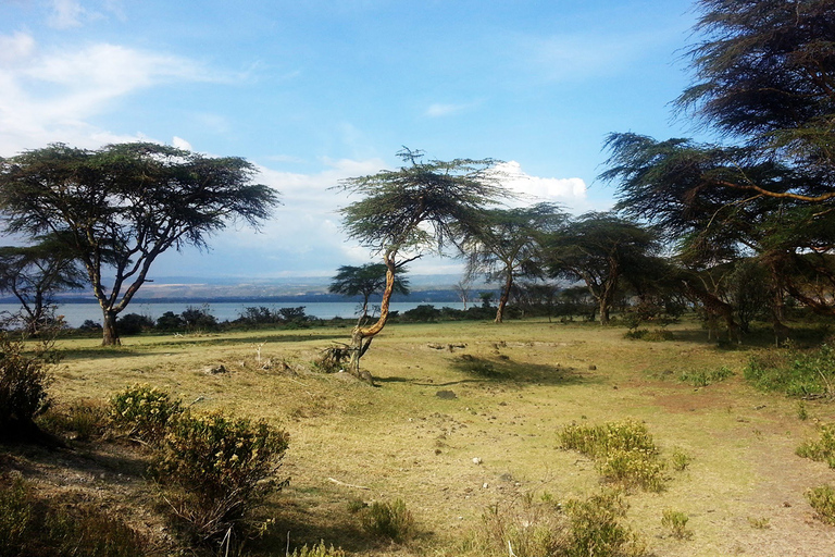 TOUR DI UN GIORNO AL LAGO NAIVASHA, CRESCENT ISLAND E HELL&#039;S GATE