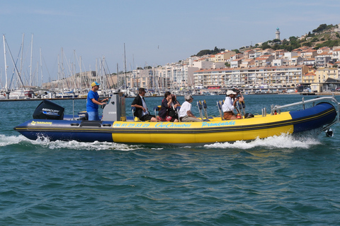 Passeio de barco em Sete na ilha singular 1 hora