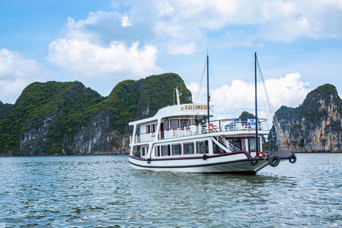 Desde Hanoi: Crucero de 1 día por la bahía de Ha Long con kayak e isla