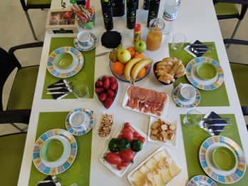 OleoAlmanzora: Geführte Tour + EVOO-Frühstück/Nachmittagstee