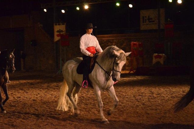 Costa Adeje: Bilet wstępu na pokaz koni z opcjonalną kolacjąBilet wstępu na pokaz koni z kolacją w soboty