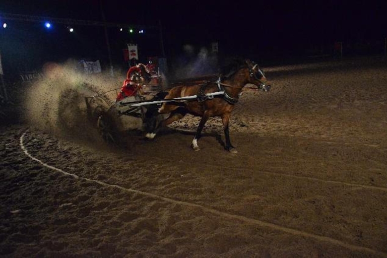 Costa Adeje: Bilet wstępu na pokaz koni z opcjonalną kolacjąBilet wstępu na pokaz koni z kolacją w soboty