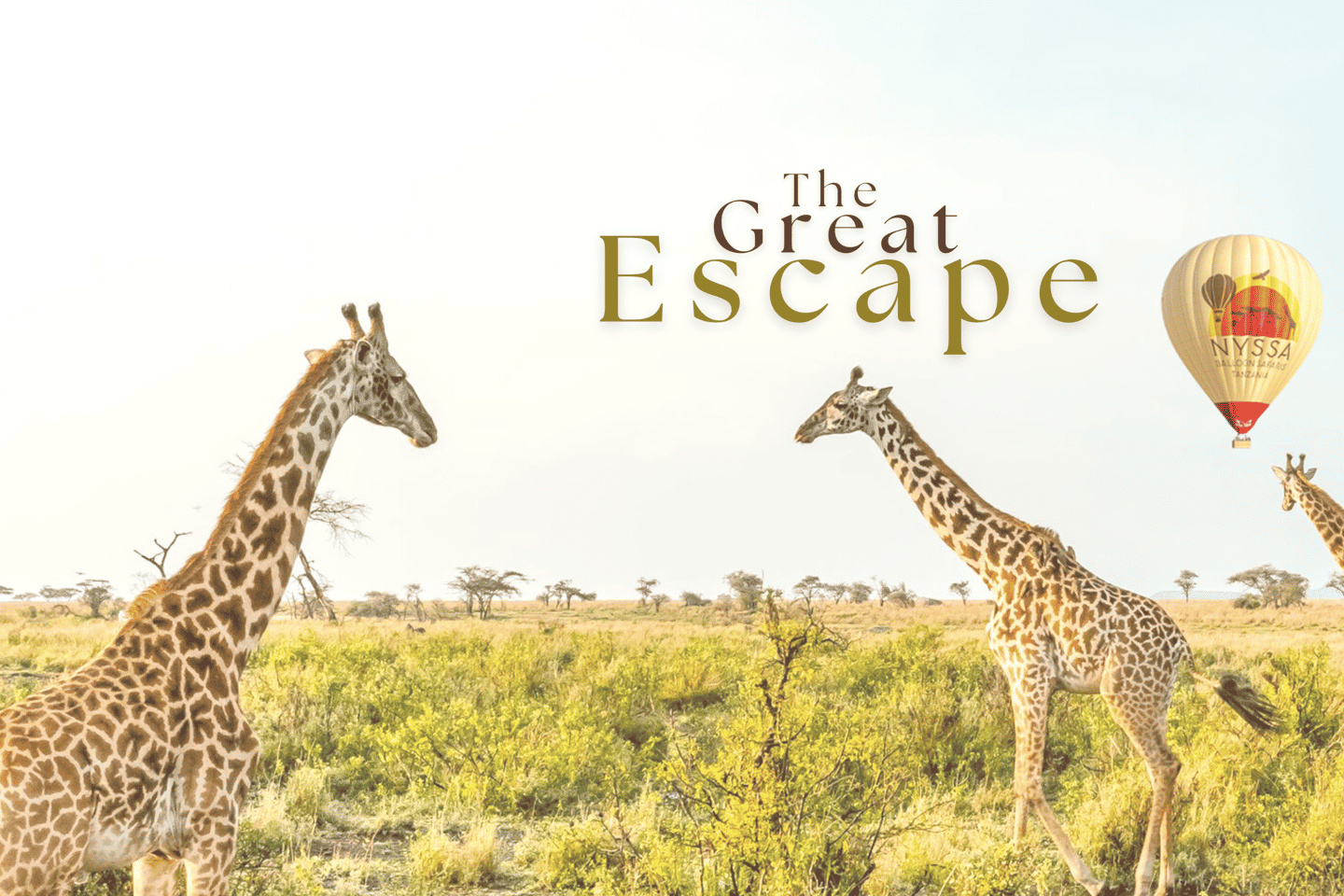 safari lodges in africa | viewing from a hot-air balloon in tanzania