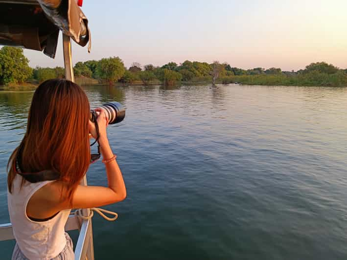 Victoria Falls: Private Zambezi River Birdwatching Safari | GetYourGuide