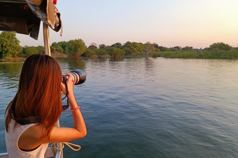 Victoria Falls: Private Zambezi River Birdwatching Safari 2-hour tour