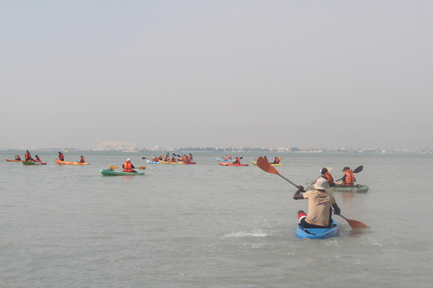 Z Doha: Kajakowa przygoda w namorzynachKatar Mangroves Przygoda kajakowa