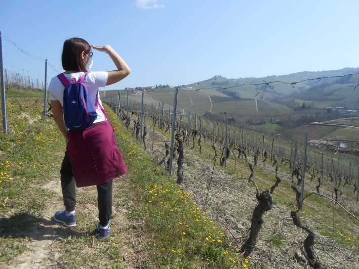 Hiking and wine tour starting from Alba