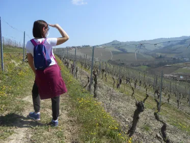 Wander- und Weintour ab Alba