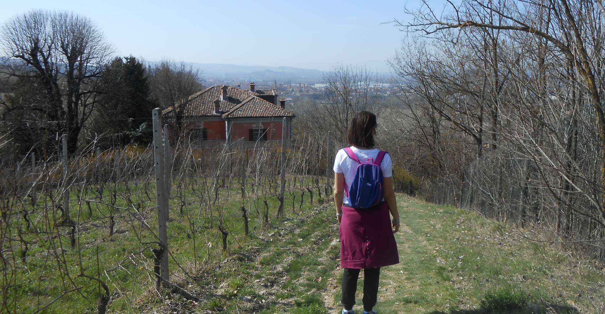 Hiking and wine tour starting from Alba - Housity