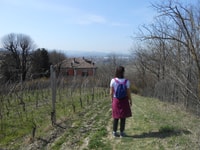 Caminhadas e passeios de vinho a partir de Alba - Hizvo