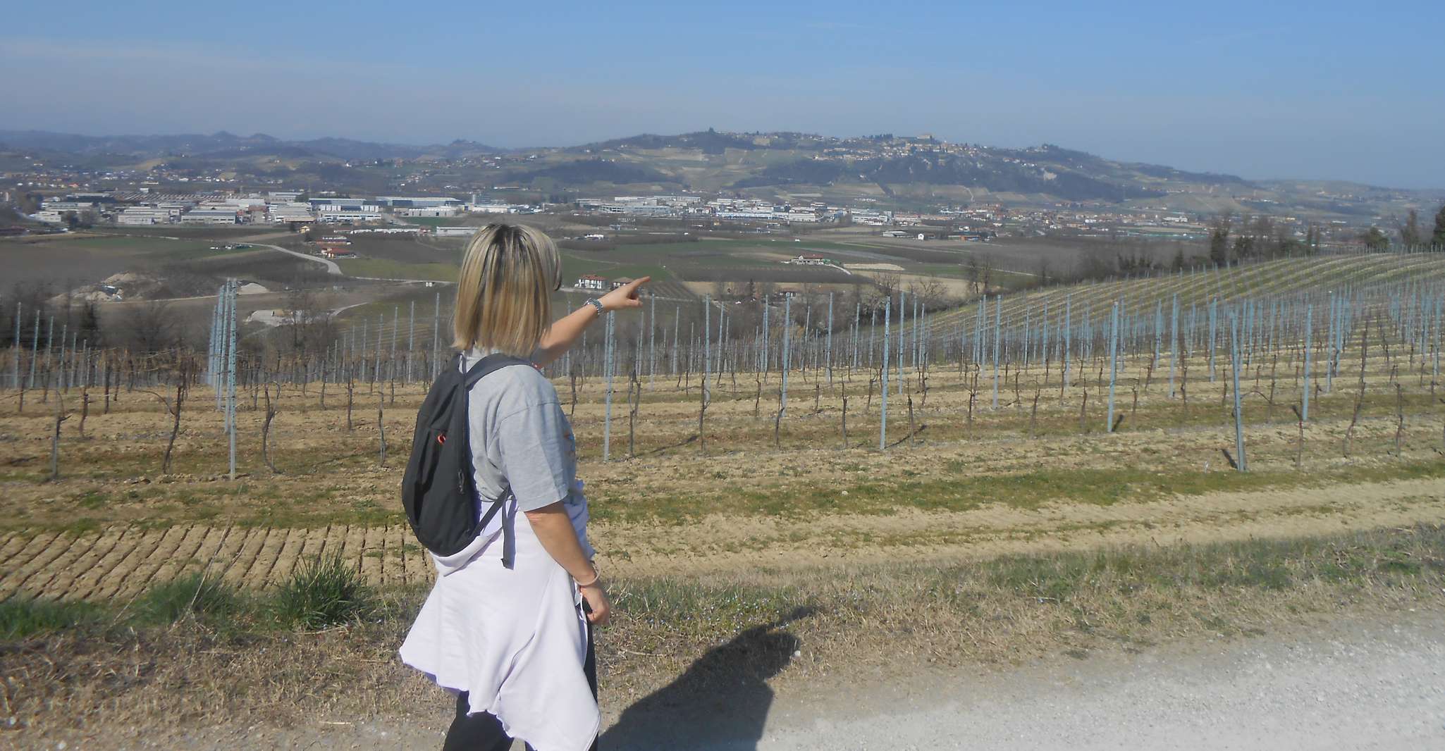 Hiking and wine tour starting from Alba - Housity