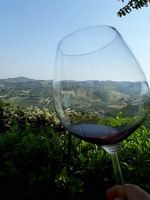 Caminhadas e passeios de vinho a partir de Alba - Hizvo