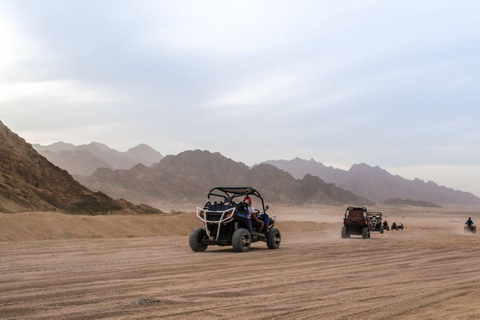 Agadir lub Taghazout: Sahara Desert Buggy Tour z transferami