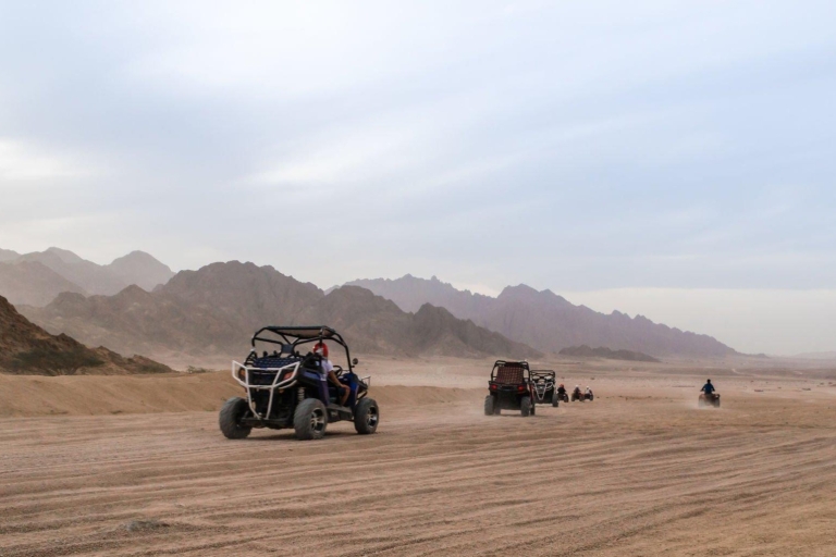 Agadir or Taghazout: Sahara Desert Buggy Tour with Transfers