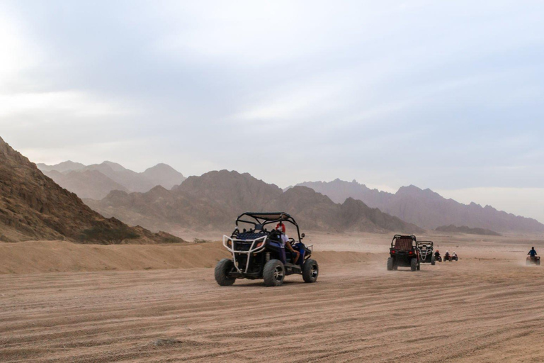 Agadir eller Taghazout: Saharaöknen Buggy Tour med transfer