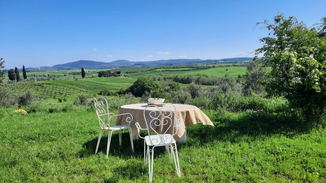 Visit Passeggiando nell'uliveto come nasce l'olio extrav d'oliva? in Montalcino