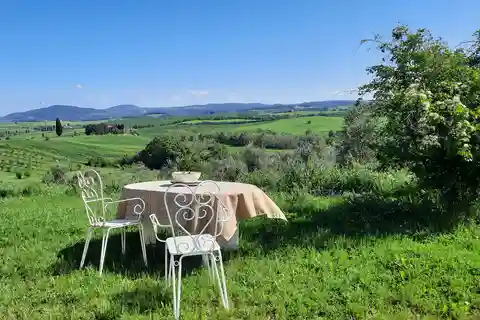 Passeggiando nell'uliveto: come nasce l'olio extrav d'oliva?