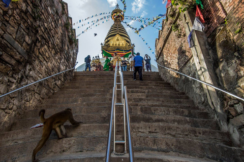 Thamel and Swayambhunath (Monkey Temple) Walking TourThamel &amp; Monkey Temple Small Group Tour