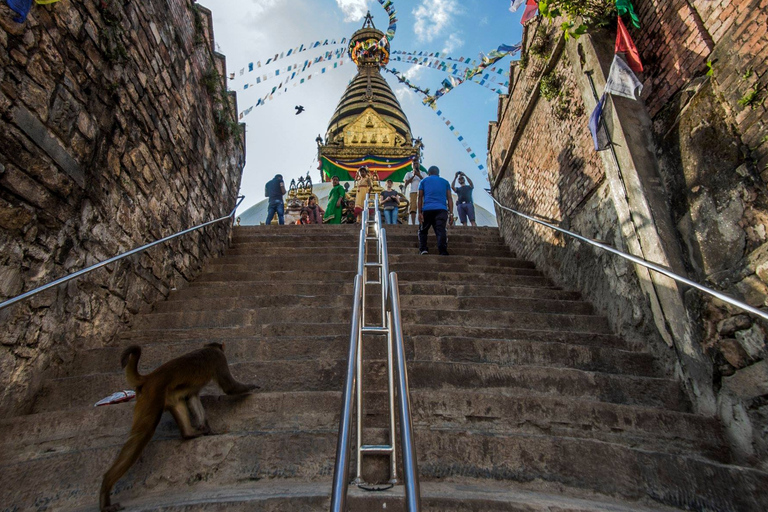 Thamel and Swayambhunath (Monkey Temple) Walking TourThamel &amp; Monkey Temple Small Group Tour