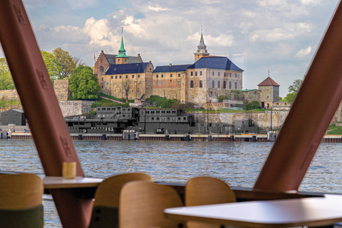 Oslo: Guided Oslofjord Cruise by Silent Electric BoatOslo: Guided Oslofjord Cruise by Electric Boat