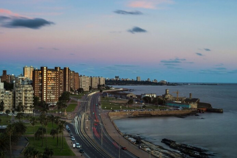 Montevideo: Private custom tour with a local guide 3 Hours Walking Tour