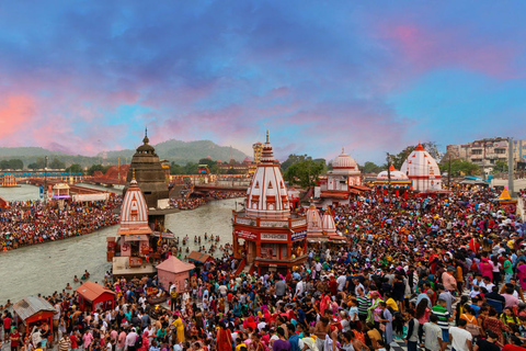 Z Delhi: Prywatna wycieczka do Haridwar i Rishikesh