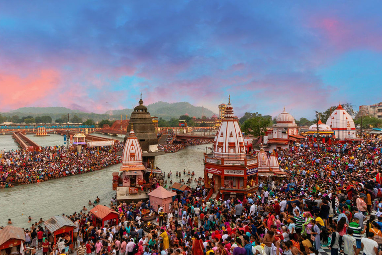 Z Delhi: Prywatna wycieczka do Haridwar i Rishikesh