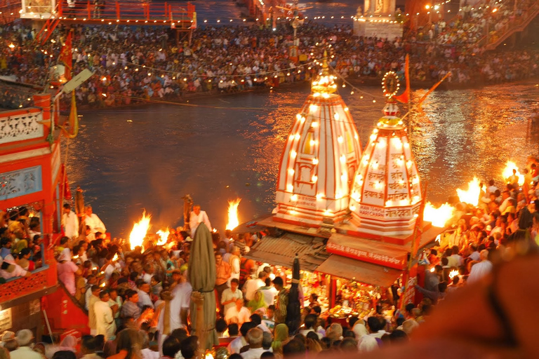 Z Delhi: Prywatna wycieczka do Haridwar i Rishikesh