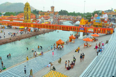 Z Delhi: Prywatna wycieczka do Haridwar i Rishikesh