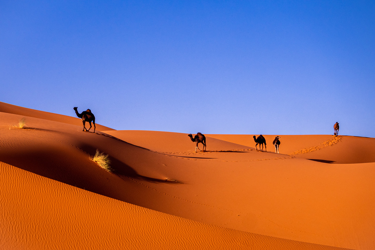 Marrakech: Escursione di 3 giorni a Fes attraverso il deserto di Merzouga e giro in cammelloTour da Marrakech: tour di 3 giorni a Fes attraverso il deserto del Sahara