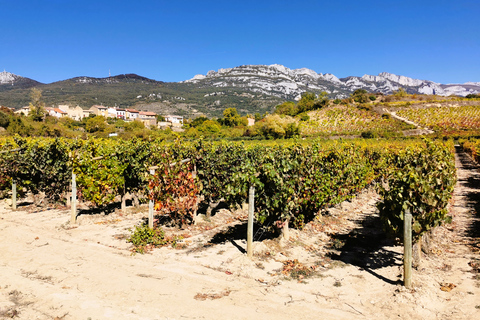 Ribera del Duero wine region private tour Ribera del Duero Private Wine Tour