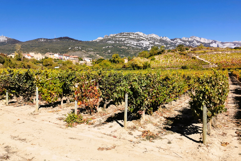 Ribera del Duero wine region private tour Ribera del Duero Private Wine Tour