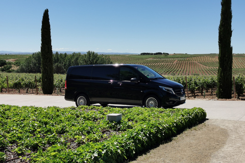 Ribera del Duero wine region private tour Ribera del Duero Private Wine Tour
