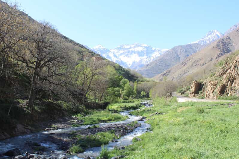 Marrakech : visite d'une journée dans le Haut Atlas et chez les Berbères - dromadaire