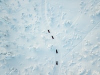 Ylläs, Aventura moto de nieve con pesca de hielo - Hizvo