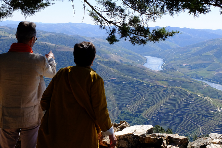 Från Porto: Douro-regionens privata mat- och vindagstur