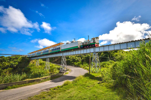 Basseterre: St. Kitts Scenic Railway Tagestour mit Getränken