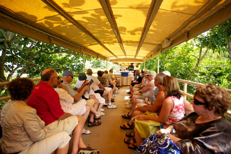 Basseterre: Viagem de 1 dia pela ferrovia panorâmica de St. Kitts com bebidas