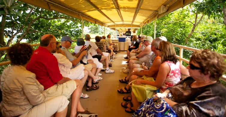 Basseterre: St. Kitts Scenic Railway Day Trip with Drinks | GetYourGuide