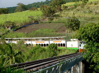 Basseterre, St. Kitts Scenic Railway Day Trip with Drinks - Housity