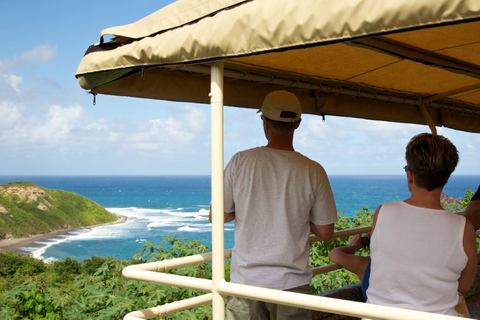 Basseterre: Viagem de 1 dia pela ferrovia panorâmica de St. Kitts com bebidas