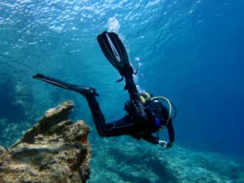 Didim: Scuba Diving Experience w/Hotel Pickup & Lunch