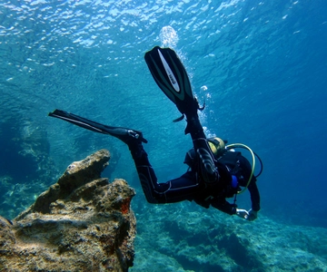 Didim: Scuba Diving Experience w/Hotel Pickup & Lunch