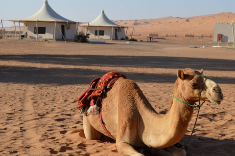 Muscat: escursione privata con safari nel deserto a 4 ruote motrici