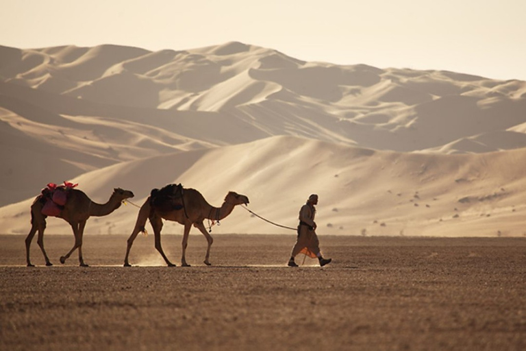 Muscat: escursione privata con safari nel deserto a 4 ruote motrici