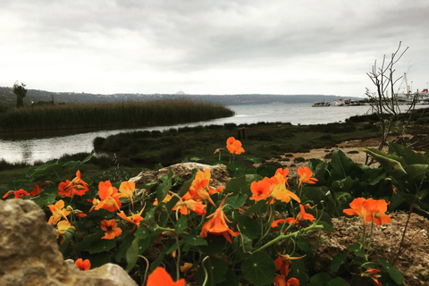 Da Chania ai laghi di Creta: Tour privato al Paradiso acquaticoLaghi di Creta: Tour privato guidato al paradiso acquatico