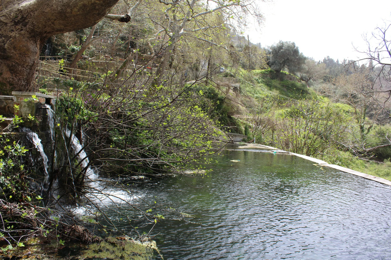 Da Chania ai laghi di Creta: Tour privato al Paradiso acquaticoLaghi di Creta: Tour privato guidato al paradiso acquatico