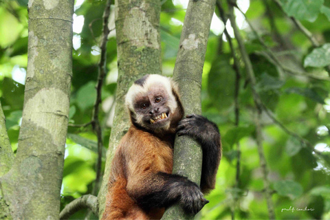 Sandovalsjön 4 dagar/3 nätterEo Jungle 04 dagar 03 nätter