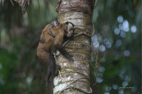 Sandoval lake 4 Days/3 NightsEo Jungle 04 days 03 nights