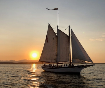 Seattle: Tall Sailboat Sunset Harbor Cruise